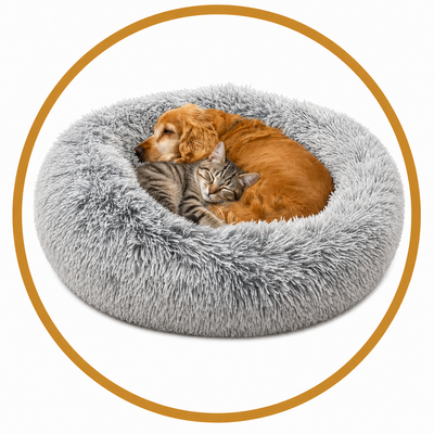 Pet Beds & Comfort