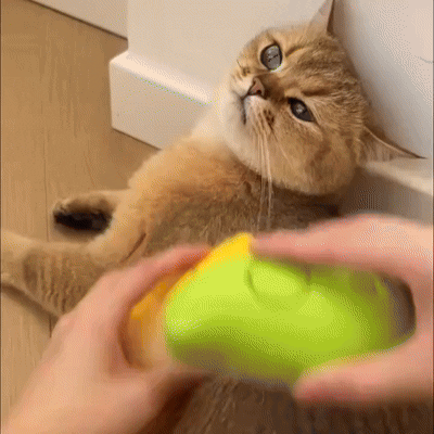PawStars Cat Massage Brush & Hair Remover