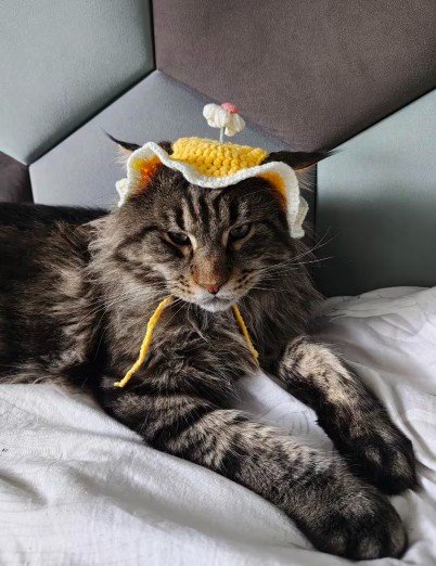 Neo's Handmade Pet Flower Crochet Hat
