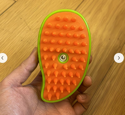 PawStars Cat Massage Brush & Hair Remover
