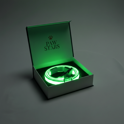 PawStars   LED Collar