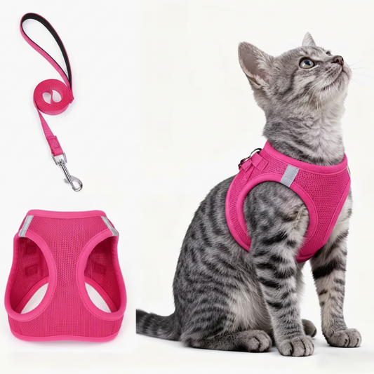 PawStars Cat Harness & Leash Set