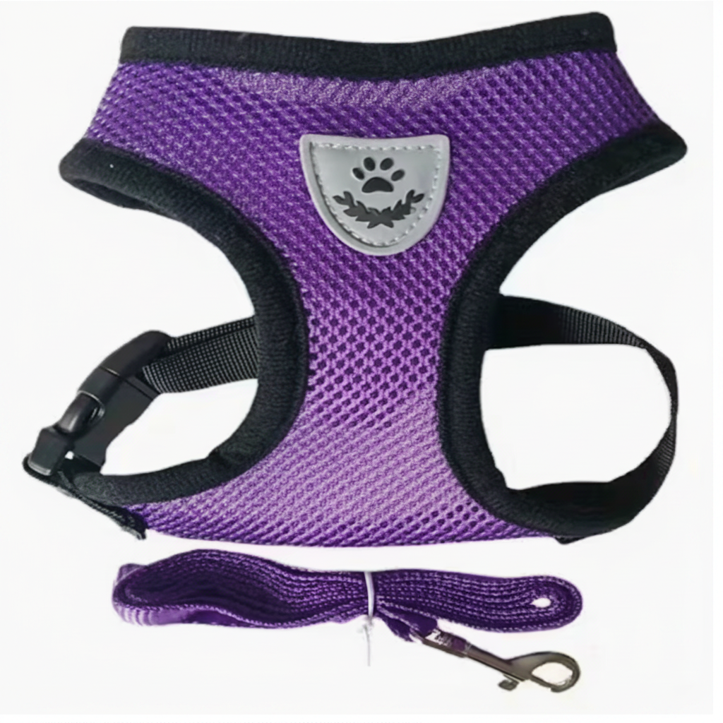 PawStars Reflective Adventure Harness & Leash Set