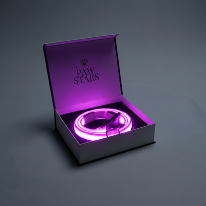 PawStars   LED Collar